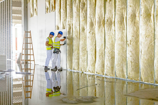 Best Eco-Friendly Insulation in Paterson, NJ